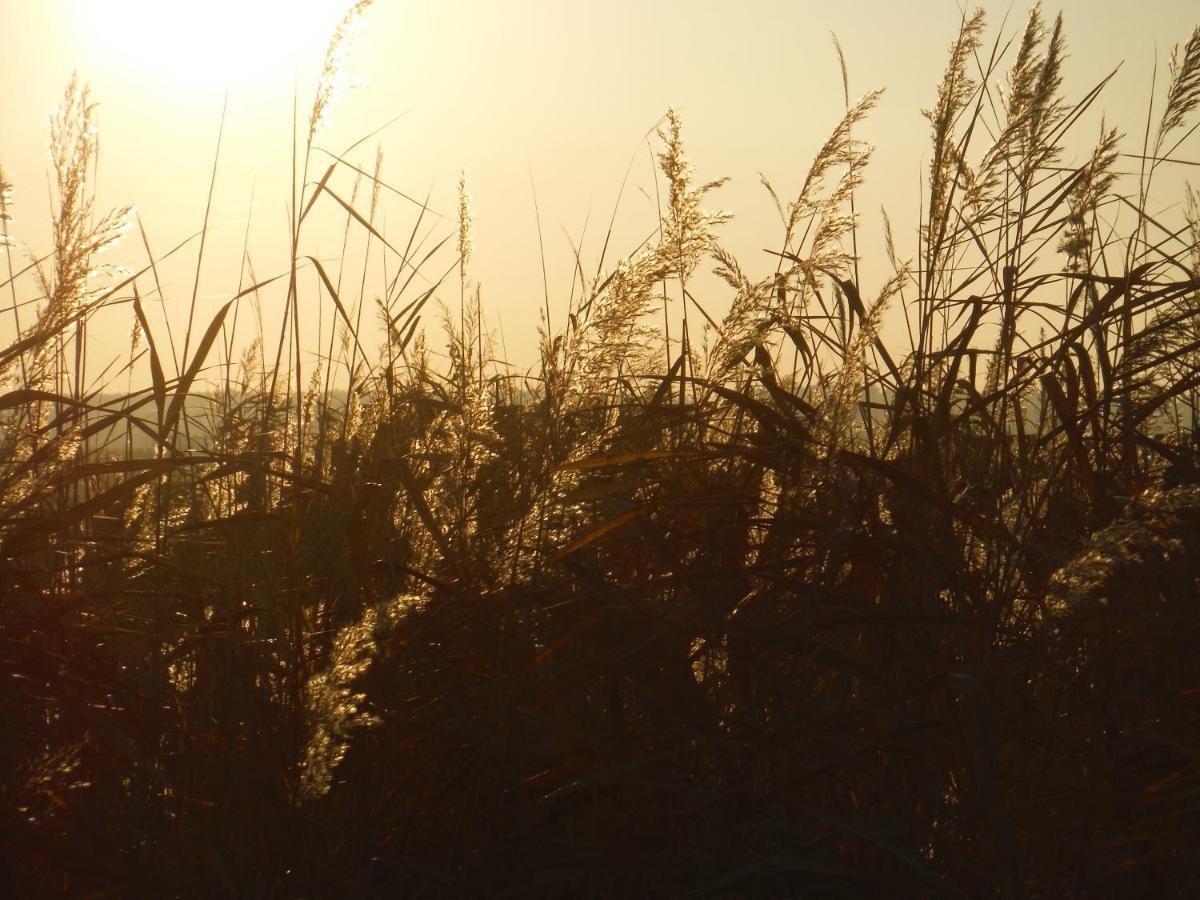 Pfahlbau Sunset I Toplage Elektroboot Inklusive Rust Zewnętrze zdjęcie